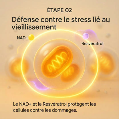 NAD+ Advancé - Capsules anti-âge