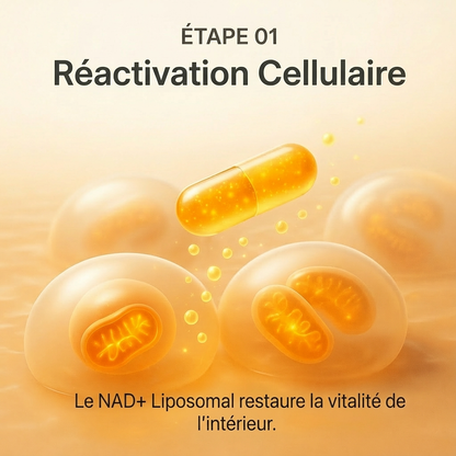 NAD+ Advancé - Capsules anti-âge