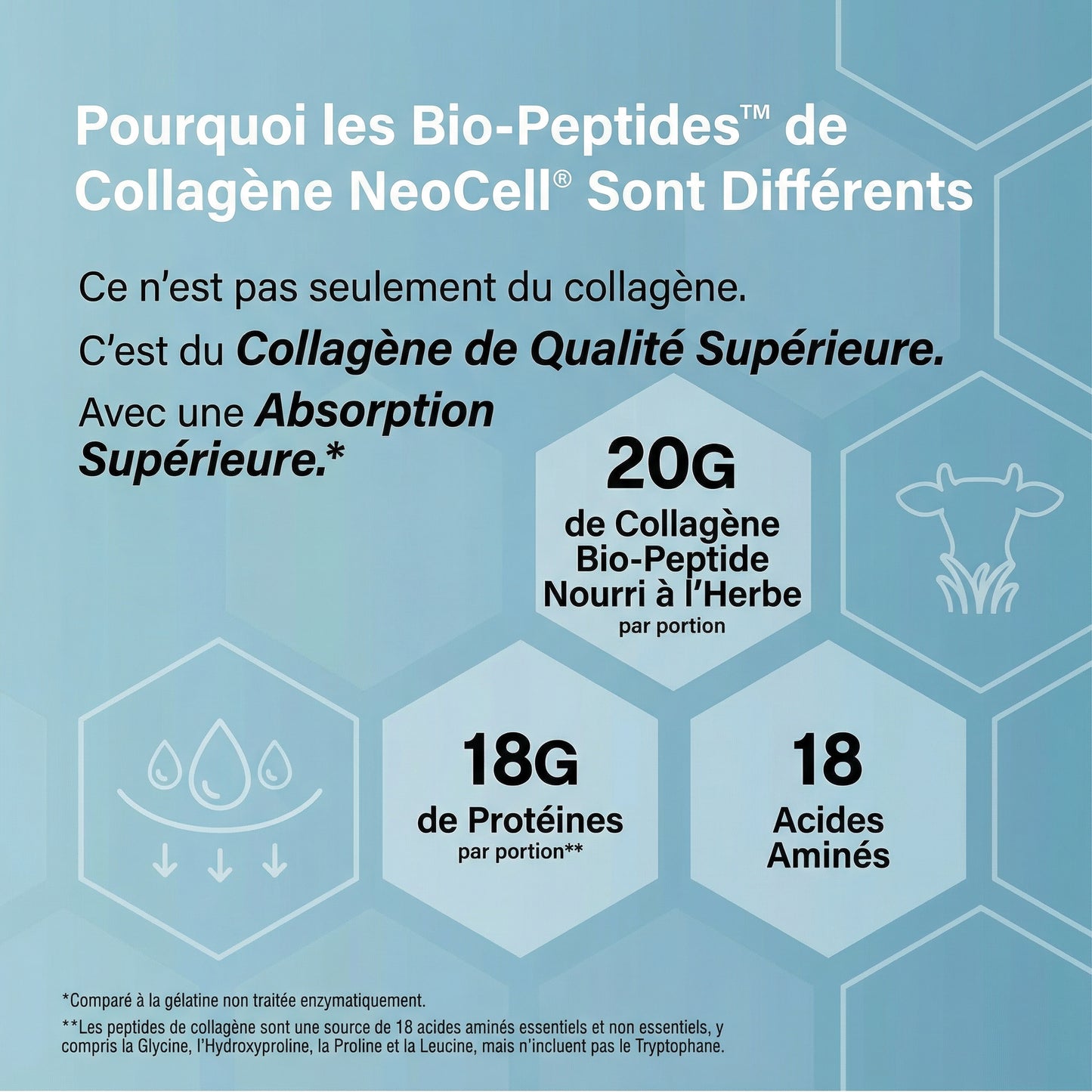 Beautify Poudre aux Peptides de Collagène (Mensuel)