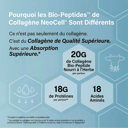 Beautify Poudre aux Peptides de Collagène (Mensuel)